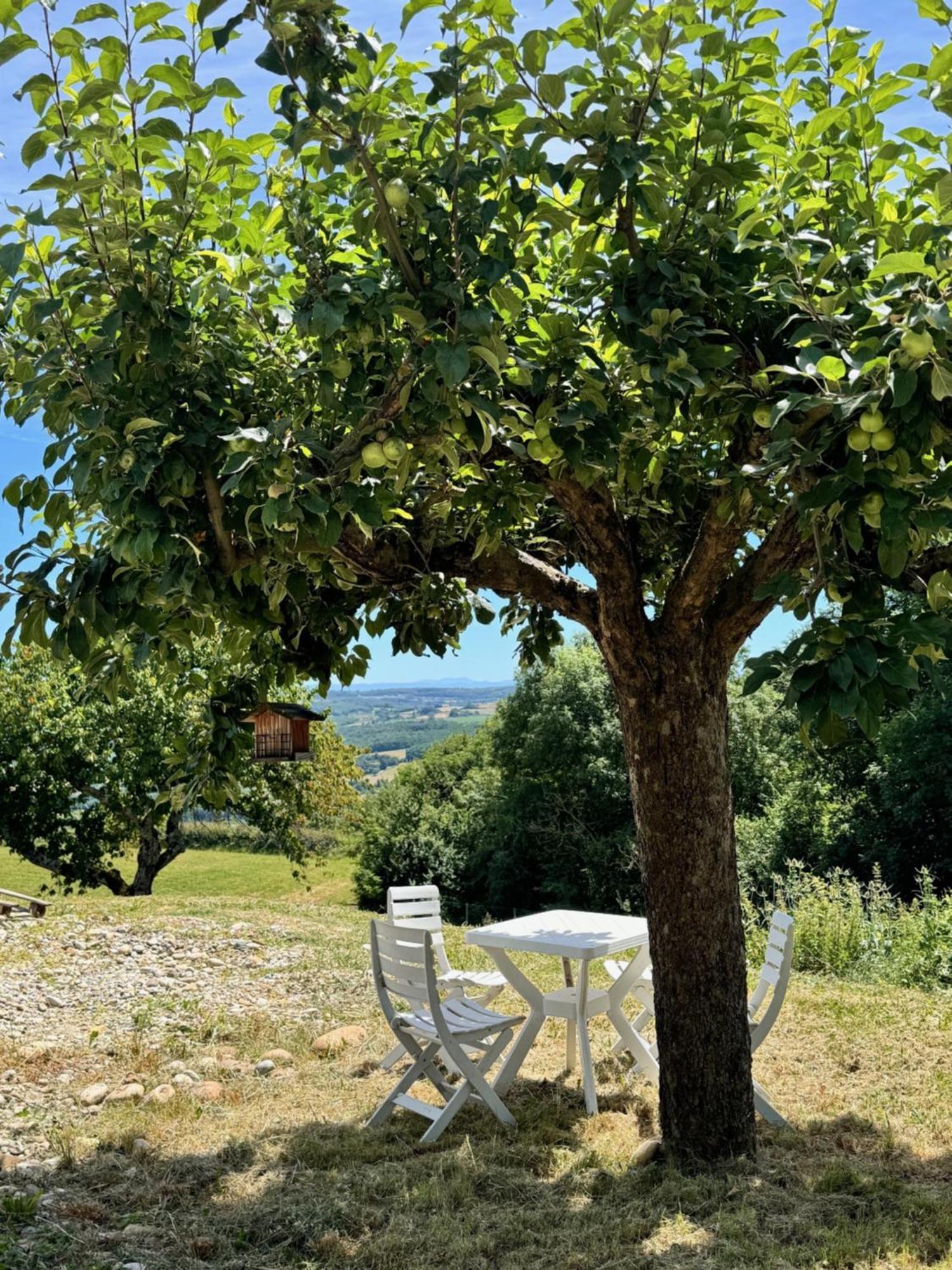 Chateauneuf-de-Galaure Gite Chez Polo 빌라 외부 사진